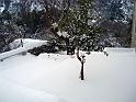 12-02-2012 08h58 21